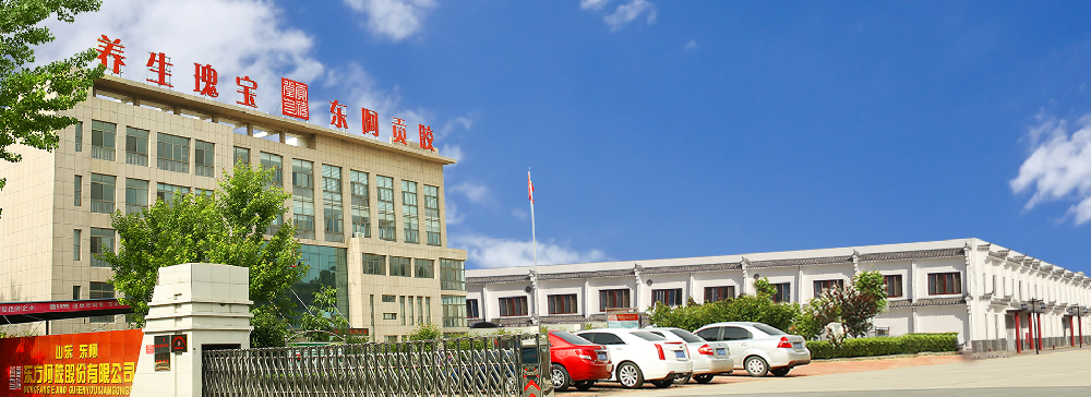 山东东阿东方阿胶股份有限公司
